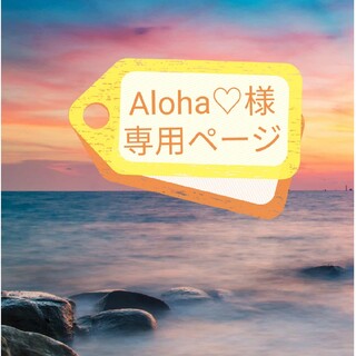 Aloha♡様専用ページ　ペーパーナプキン　パンジー３枚(その他)