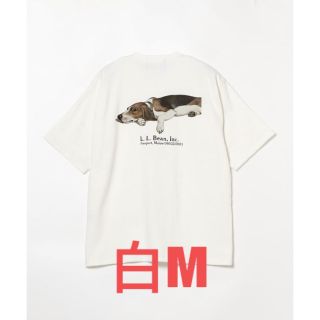 ビームス(BEAMS)のL.L.Bean×BEAMS Bean's GreenLabel Print-T(Tシャツ/カットソー(半袖/袖なし))