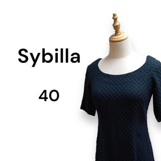 シビラ(Sybilla)のSybilla シビラ 半袖ロングワンピース マキシ丈 背中ファスナー付き(ロングワンピース/マキシワンピース)