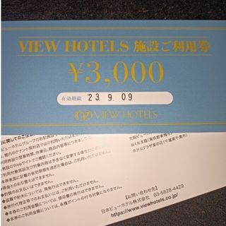 ビューホテル 利用券6000円分 VIEW HOTEELS 優待券(宿泊券)