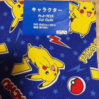 ポケモン(ポケモン)のポケモンハギレ(生地/糸)