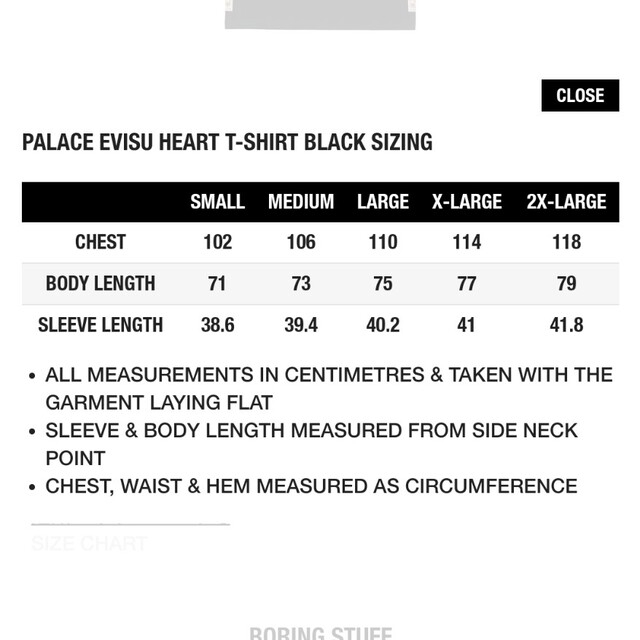 palace evisu tシャツ | www.jarussi.com.br