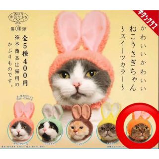 ねこうさぎちゃん　ガチャガチャ　新品未使用　オレンジ　キャロット(猫)