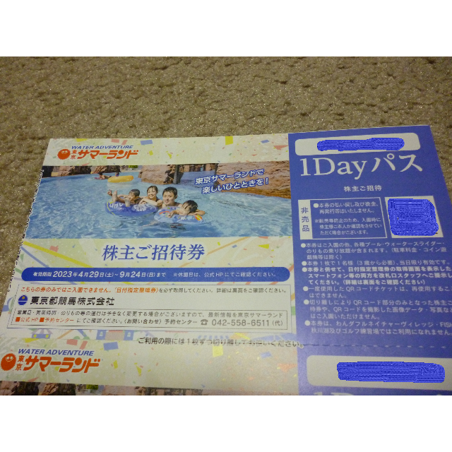 東京サマーランド フリーパス 8枚 1Dayパス 東京都競馬 株主優待 ...