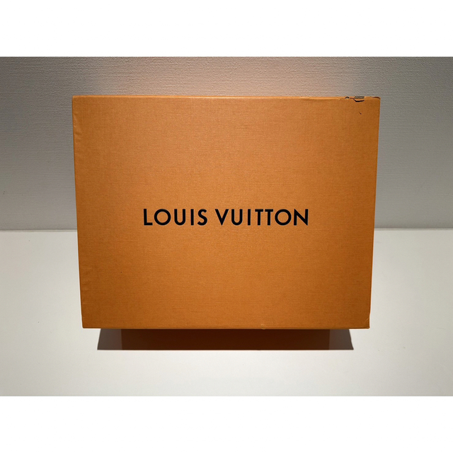 LOUIS VUITTON(ルイヴィトン)の新品❗️ LOUIS VUITTON ジグザグライン スニーカー シルバー メンズの靴/シューズ(スニーカー)の商品写真