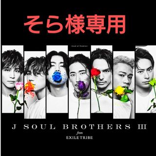 サンダイメジェイソウルブラザーズ(三代目 J Soul Brothers)の三代目J Soul Brothers今市隆二赤バライヤリング(ミュージシャン)