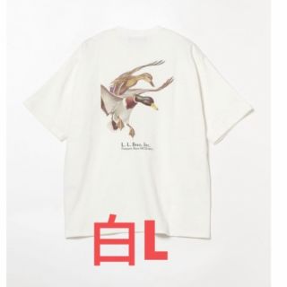 エルエルビーン(L.L.Bean)のL.L.Bean×BEAMS Bean's GreenLabel Print-T(Tシャツ/カットソー(半袖/袖なし))