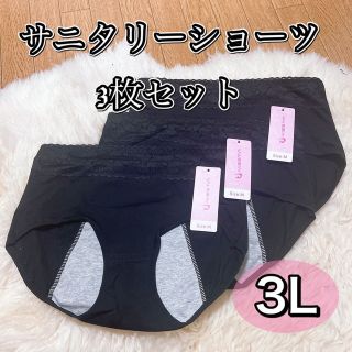 サニタリーショーツ 3枚セット　ブラック　黒　3Lサイズ　生理　パンツ(ショーツ)