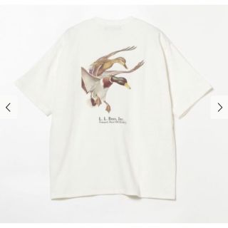 エルエルビーン(L.L.Bean)のMサイズ　BEAMS × L.L.BEAN 別注Tシャツ(Tシャツ/カットソー(半袖/袖なし))