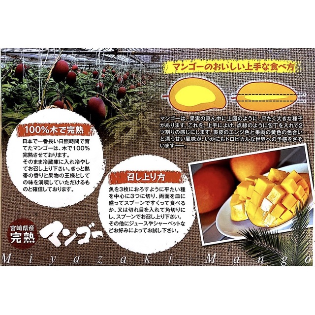 宮崎県産　3.5kg　完熟マンゴー　フルーツ