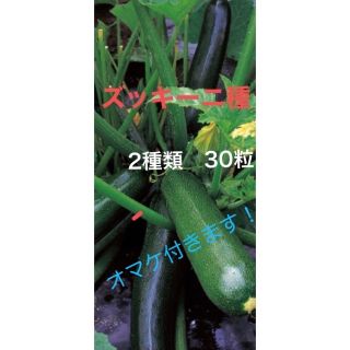 ズッキーニ種　2種類　黒10粒　緑20粒　オマケ付き❗️(野菜)