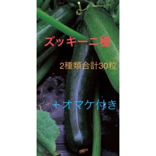 ズッキーニ種　黒10粒＋緑20粒 合計30粒！(野菜)