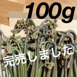 わらび100g　茨城県産　山菜　朝採り 新鮮　天然　無農薬　国産　初物(野菜)