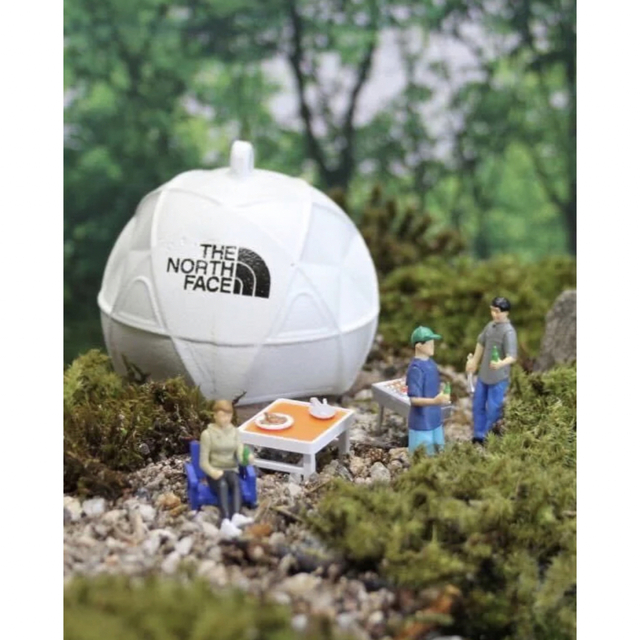 GEODOME BELL ノースフェイス ジオドーム | www.fleettracktz.com