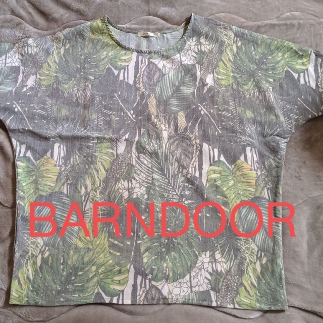 BARNDOOR(バーンドア)の#BARNDOORトップス レディースのトップス(Tシャツ(半袖/袖なし))の商品写真