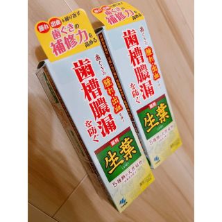 コバヤシセイヤク(小林製薬)の【新品　未開封】生葉　歯磨き粉　薬用　歯槽膿漏を防ぐ　②本(歯磨き粉)