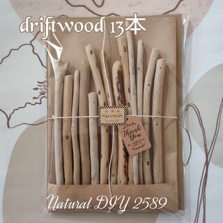 driftwood　流木　13本(各種パーツ)