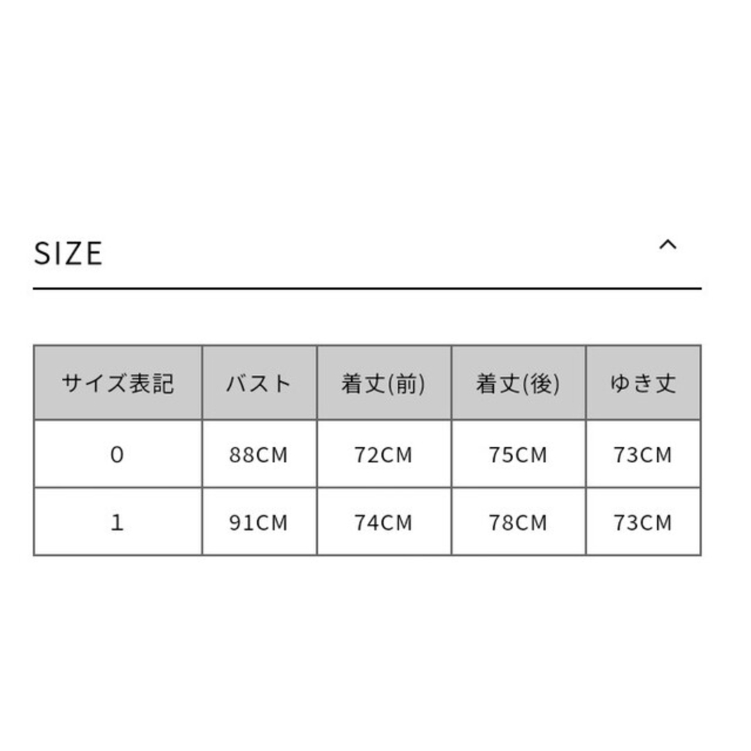 最終お値下げ LE PHIL ルフィル シアージャガードブラウス