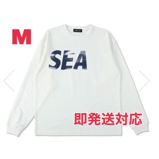 WINDANDSEA (P-DYE) L/S TEE / BLACK_WHITE | labiela.com