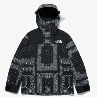ノースフェイス(THE NORTH FACE) ペイズリー マウンテンパーカー