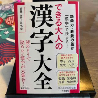 できる大人の漢字大全 語彙力・教養の差は「漢字」で決まる！(その他)