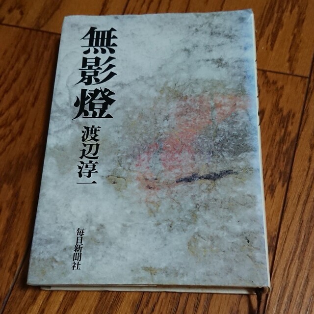 淳一　特别免费送货　毎日新聞社　48.0%割引　無影燈　渡辺