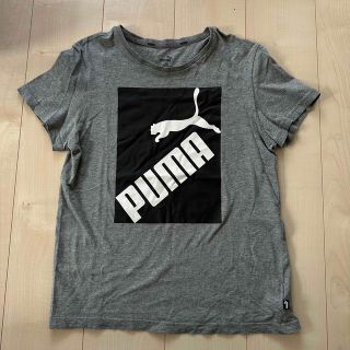 プーマ(PUMA)のPUMA⭐️Tシャツ　160cm(Tシャツ/カットソー)