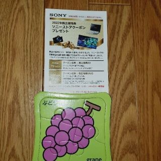 ソニー(SONY)の SONY ソニーストア クーポン 株主優待券 割引券(その他)