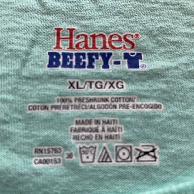 Tシャツ　ライトグリーン　Hanes XL メンズのトップス(Tシャツ/カットソー(半袖/袖なし))の商品写真