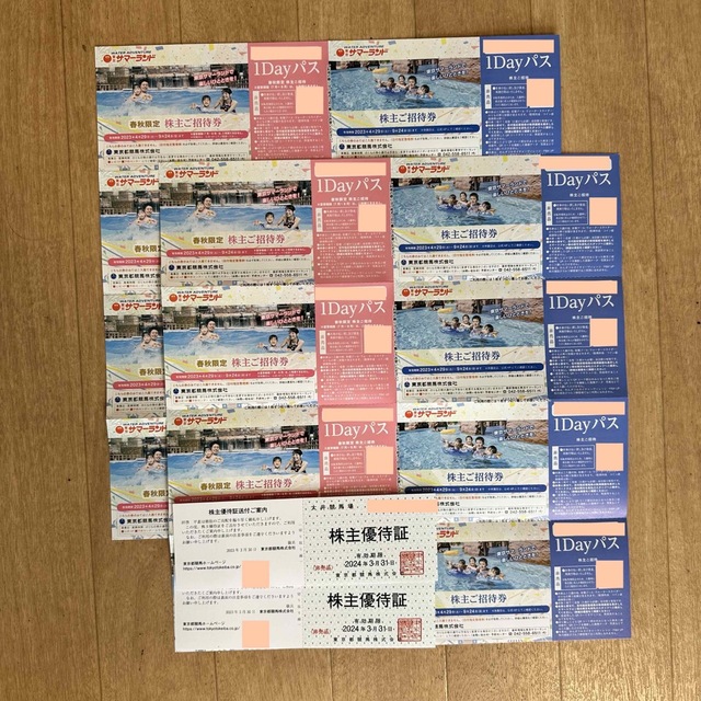 8枚 2セット】東京競馬 東京サマーランド 株主優待 【送料無料(一部