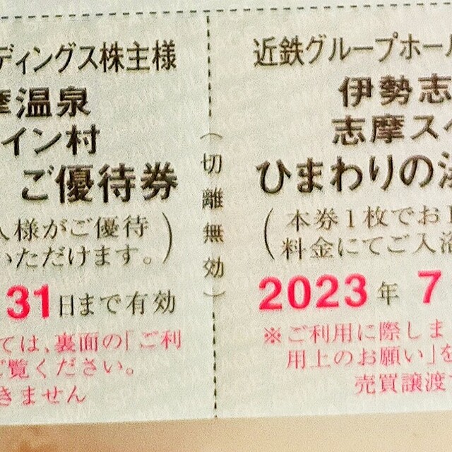 即日発送　志摩スペイン村　パルケエスパーニャ　パスポート　20%割引券　2人分③