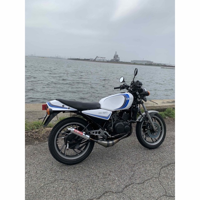 rz350 rz250 シート | rgbplasticos.com.br