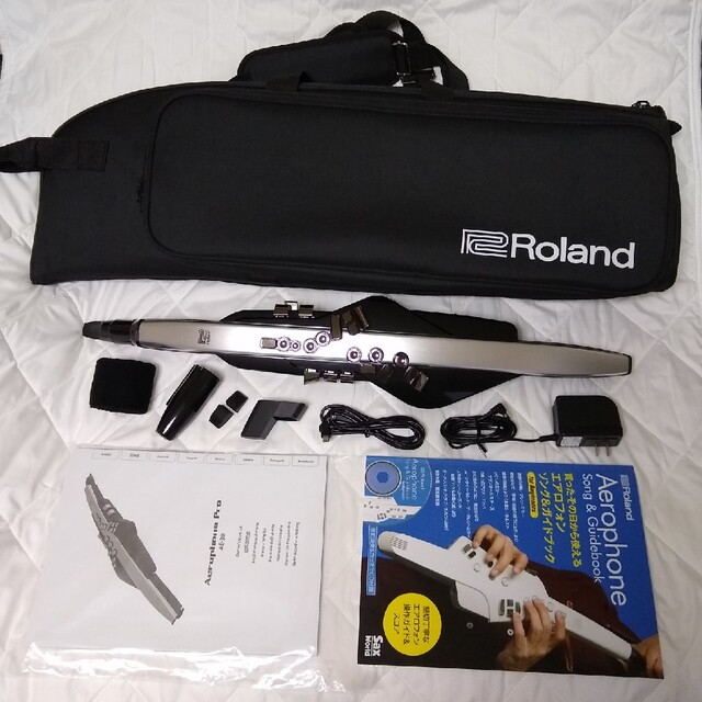 Roland Aerophone Pro AE-30