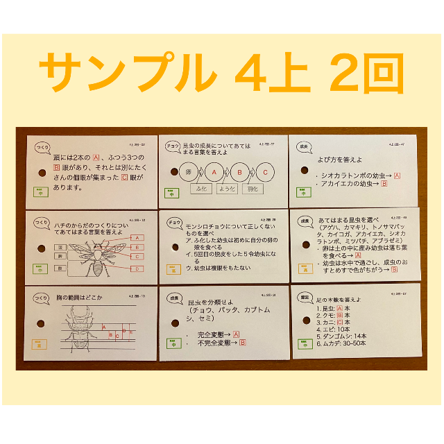 中学受験【4年上 社会・理科1-9回】 暗記カード 予習シリーズ 組み分け 安い 51.0%OFF planforest.com