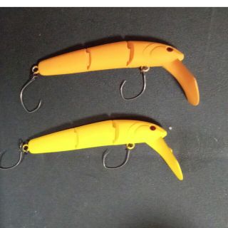 珍しい DRT フレンジー ビワトラ beachvacationhomerental.com