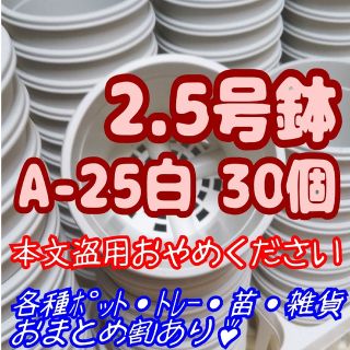 プラ鉢2.5号鉢【A-25】30個 スリット鉢 丸 プレステラ 多肉植物(プランター)