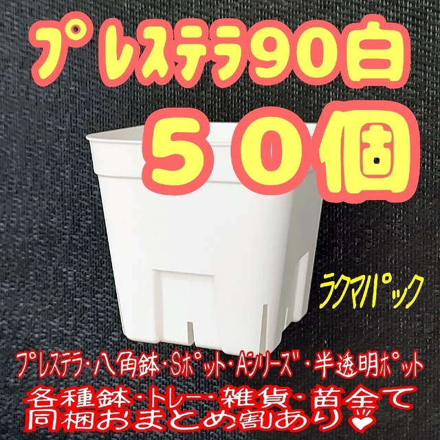 【スリット鉢】プレステラ90白50個 多肉植物 プラ鉢 -ラクマパック- ハンドメイドのフラワー/ガーデン(プランター)の商品写真