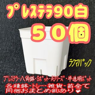 【スリット鉢】プレステラ90白50個 多肉植物 プラ鉢 -ラクマパック-(プランター)