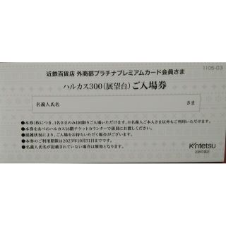 はな様専用★あべのハルカス300展望台　入場券 ペア　'23年10月末まで(その他)