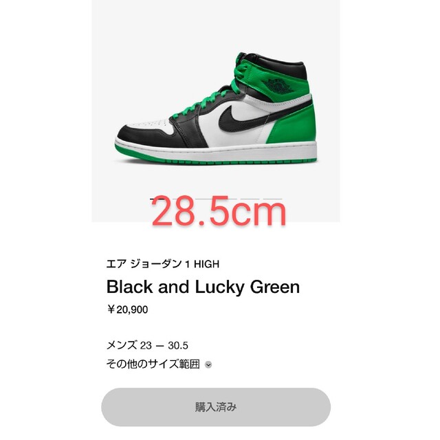 NIKE(ナイキ)のJORDAN 1 RETRO HIGH OG BLACK/LUCKY GREEN メンズの靴/シューズ(スニーカー)の商品写真