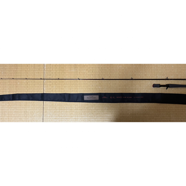 ☆新春福袋2022☆ DAIWA AGS17 ハートランド741MHRB-SV - ロッド