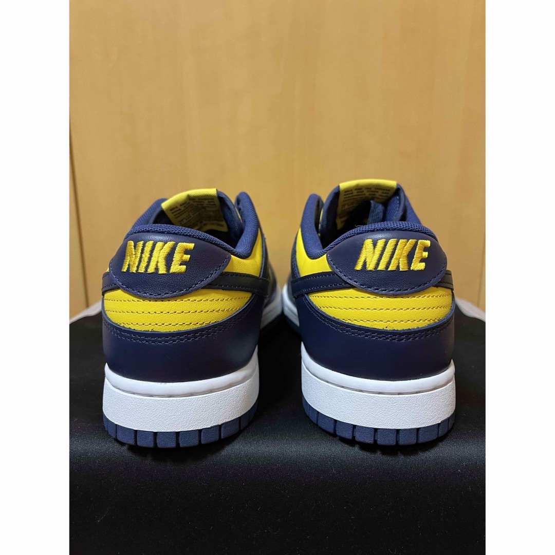 Nike Dunk Low Michigan 4