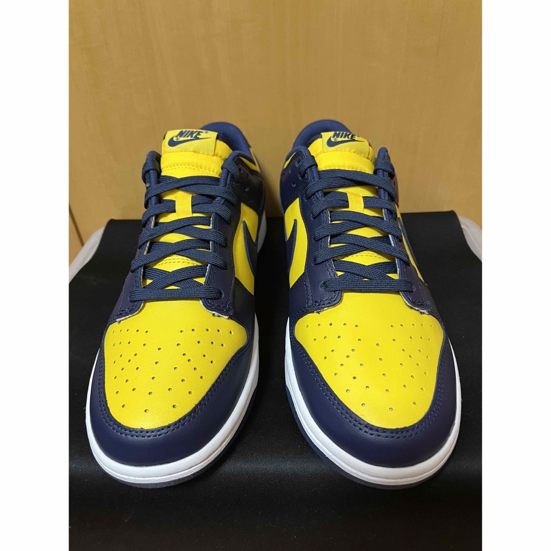 Nike Dunk Low Michigan