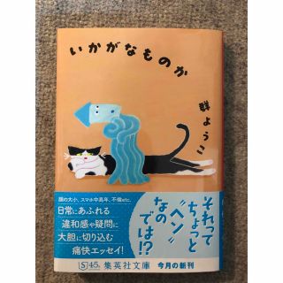 いかがなものか(その他)