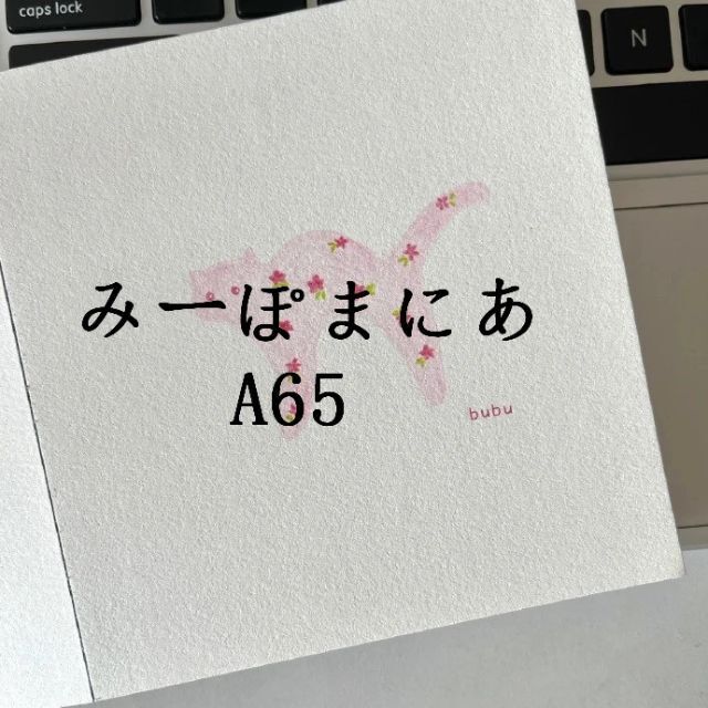 みーぽまにあ A65の通販 by ysrlncisgy's shop｜ラクマ