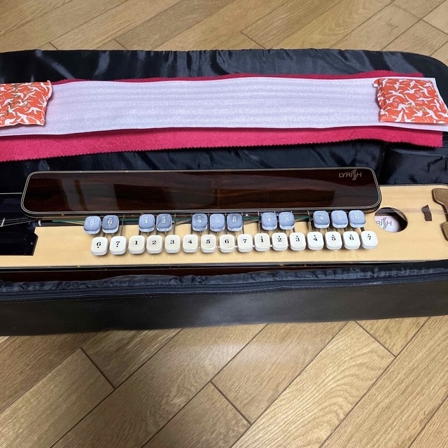 ライリッシュLSS150 大正琴 日本未入荷 62.0%OFF www.gold-and-wood.com