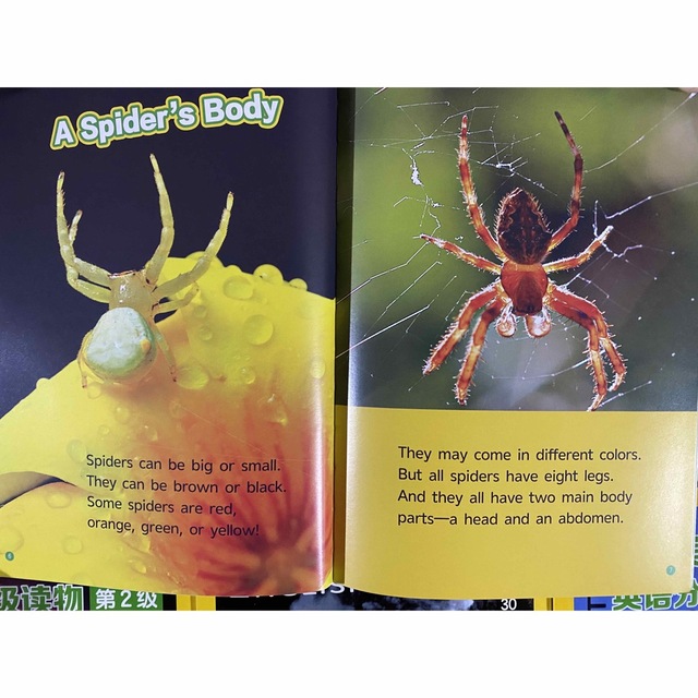 national geographic Kids マイヤペン対応 ナショジオ national geographic Kids マイヤペン対応 ナショジオ