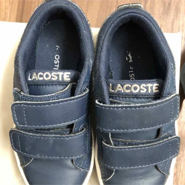 LACOSTE(ラコステ)のラコステ　スニーカー　15cm キッズ/ベビー/マタニティのキッズ靴/シューズ(15cm~)(スニーカー)の商品写真
