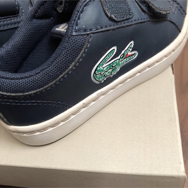 LACOSTE(ラコステ)のラコステ　スニーカー　15cm キッズ/ベビー/マタニティのキッズ靴/シューズ(15cm~)(スニーカー)の商品写真