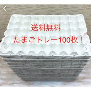 使い方いろいろ たまご紙トレー100枚 送料無料 新生活 引越し DIY(その他)